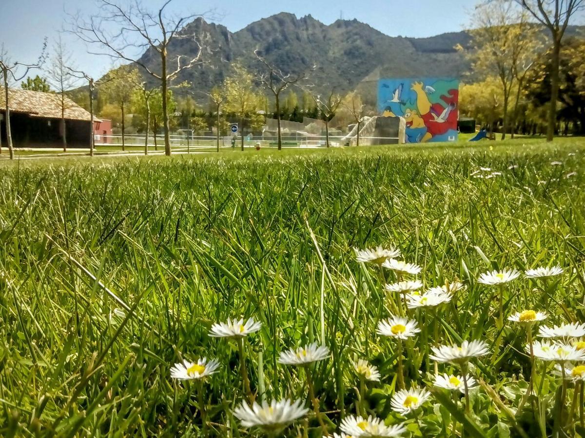 Camping Iratxe Ciudad De Vacaciones Ayegui Eksteriør bilde